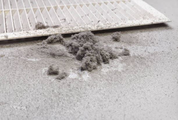Best Air Duct Cleaning Cost  in Darrington, WA