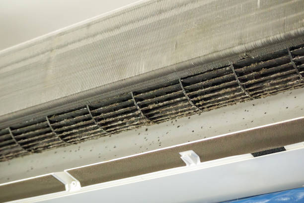 Best Ductwork Cleaning Services  in Darrington, WA